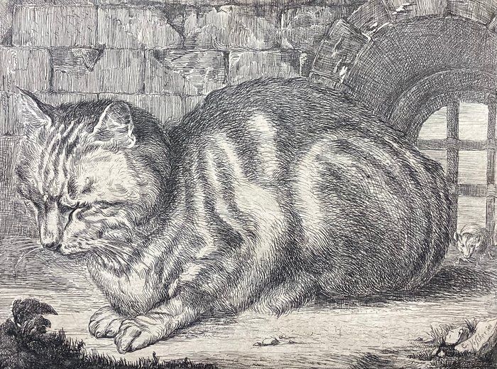 Cornelis Visscher (1628/9-1658), after - Il Grande Gatto