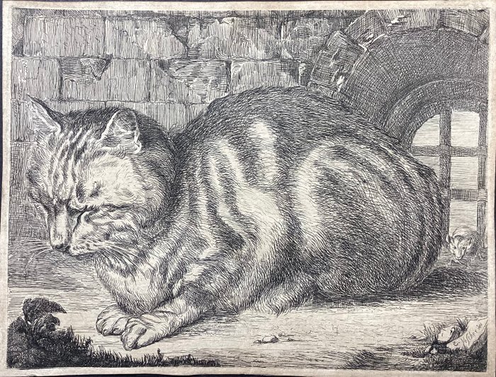 Cornelis Visscher (1628/9-1658), after - Il Grande Gatto