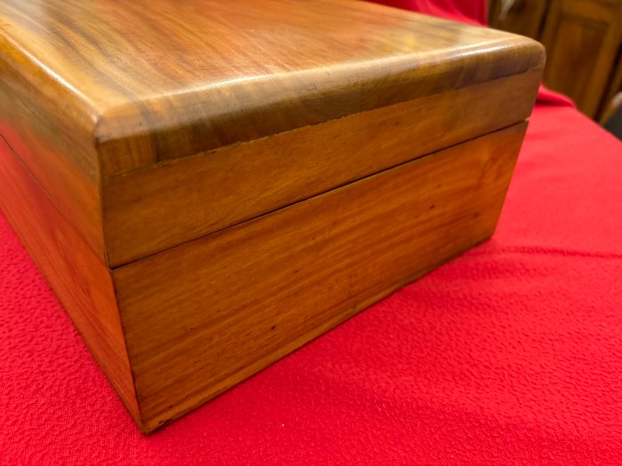 Humidor - Valnøddetræ