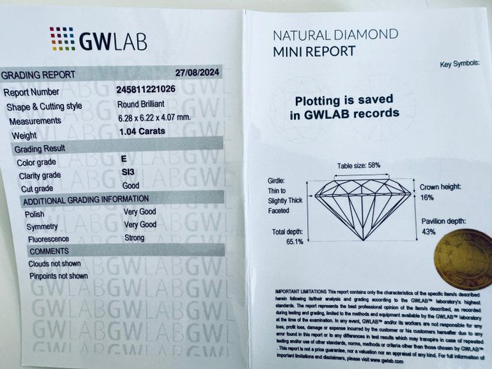 Ingen mindstepris - 1 pcs Diamant  (Natur)  - 1.04 ct - Rund - E - SI3 - Gemewizard Gemological Laboratory (GWLab)