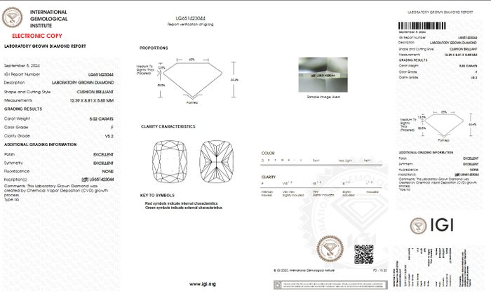 Ingen mindstepris - Ring - 14 karat Hvidguld -  5.02ct. tw. Diamant (Laboratoriedyrket) - F VS1 IGI Certificeret