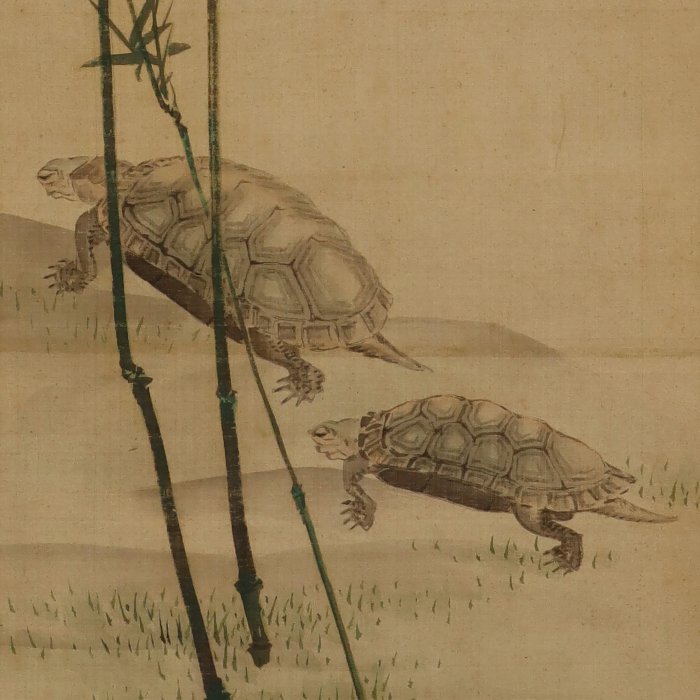 Turtle and Bamboo - With signature Kosai 光濟 - Kamibe Sessai(?-?) - Japan - Edo-perioden (1600-1868)  (Ingen mindstepris)