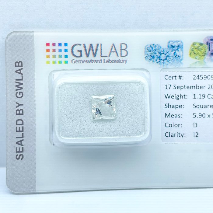 Ingen mindstepris - 1 pcs Diamant  (Natur)  - 119 ct - Kvadrat - D (farveløs) - I2 - Gemewizard Gemological Laboratory (GWLab)