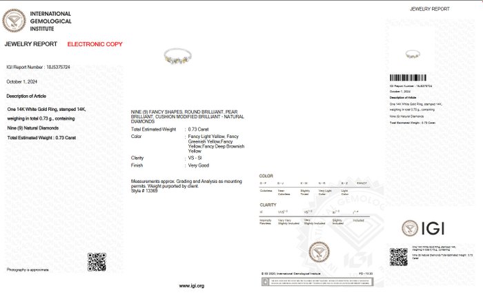 Ingen mindstepris - Ring - 14 karat Hvidguld -  0.73ct. tw. Blandede farver Diamant (Naturfarvet) - IGI