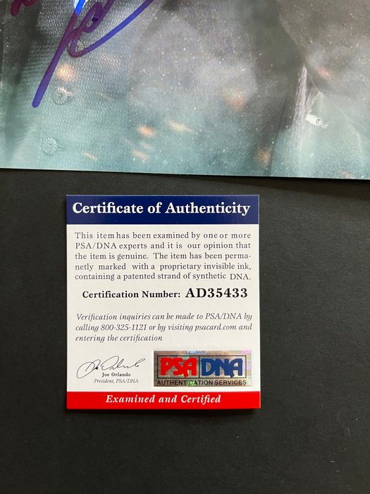 Doctor Who (TV Series) - Matt Smith - Signed in Person - with PSA/DNA Certificate - Autograph photo - No Reserve!