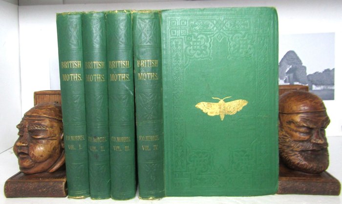 Rev. F. O. Morris - A Natural History of British Moths - 1871