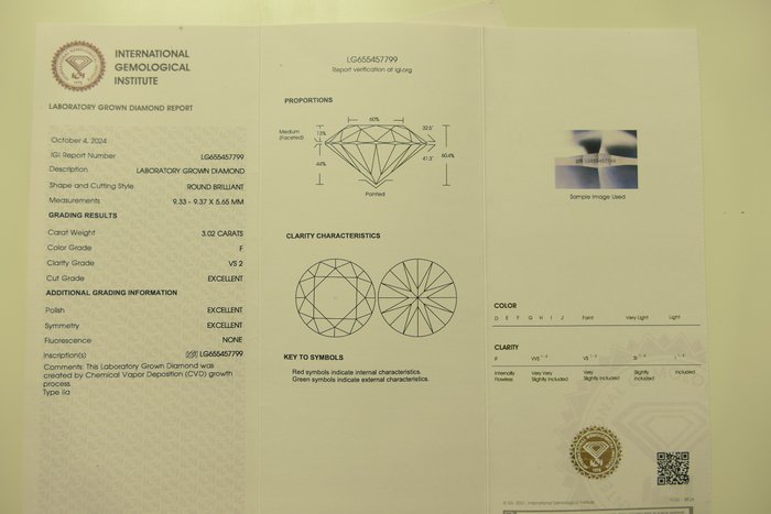 Ingen mindstepris - Øreringe - 18 kraat Gulguld -  6.07ct. tw. Diamant (Laboratoriedyrket)