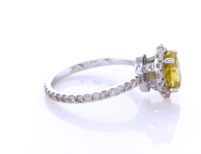 Ring - 14 karat Hvidguld -  1.81ct. tw. Gul Diamant (Naturfarvet) - Diamant