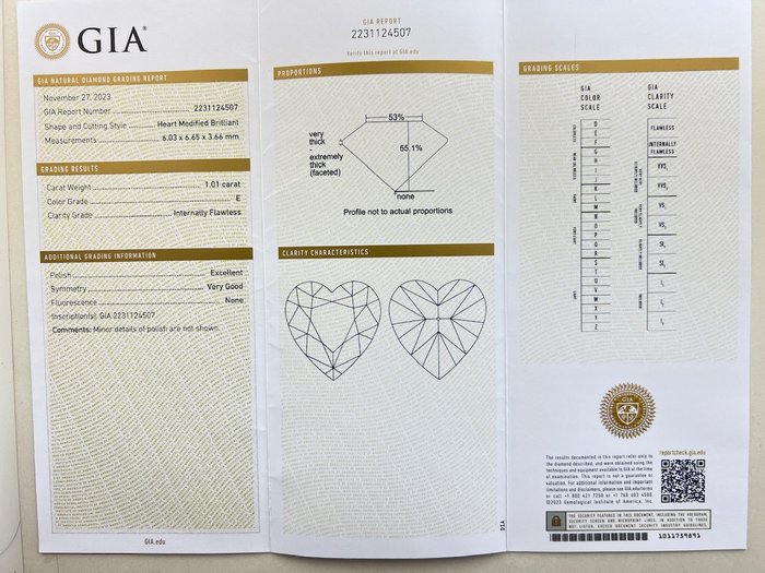 Ingen mindstepris - 1 pcs Diamant  (Natur)  - 1.01 ct - Hjerte - E - IF - Gemological Institute of America (GIA)