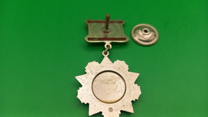 Rusland - Belønning - Medal "For Distinction in Military Service" - 1974