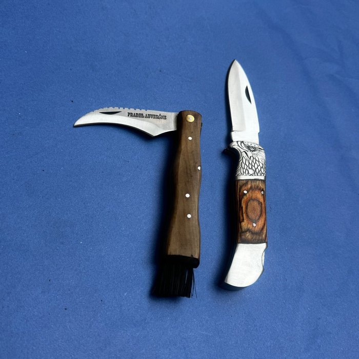 Køkkenkniv - Chef's knife - Knogle, Stål, Legendarisk køkken + lommeknive - lige fra landsbyen Laguiole - Par gamle stav  - Frankrig