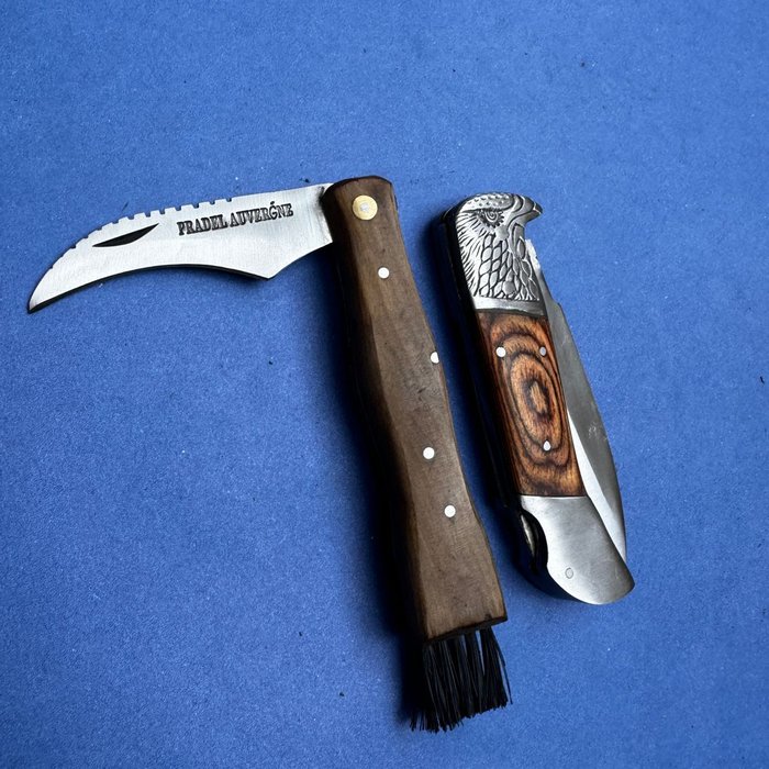 Køkkenkniv - Chef's knife - Knogle, Stål, Legendarisk køkken + lommeknive - lige fra landsbyen Laguiole - Par gamle stav  - Frankrig