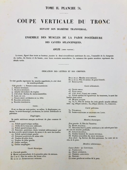 Undervisningsmaterialer - Nicolas-Henri Jacob  Jean Baptiste Marc Bourgery - traité d'anatomie de l'homme 1881 - Papir - 1850-1900