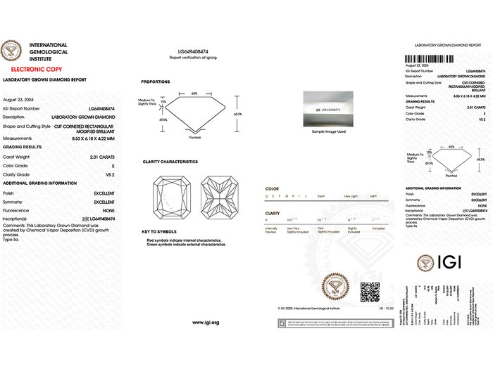 Øreringe - 14 karat Gulguld -  4.02ct. tw. Diamant (Laboratoriedyrket)