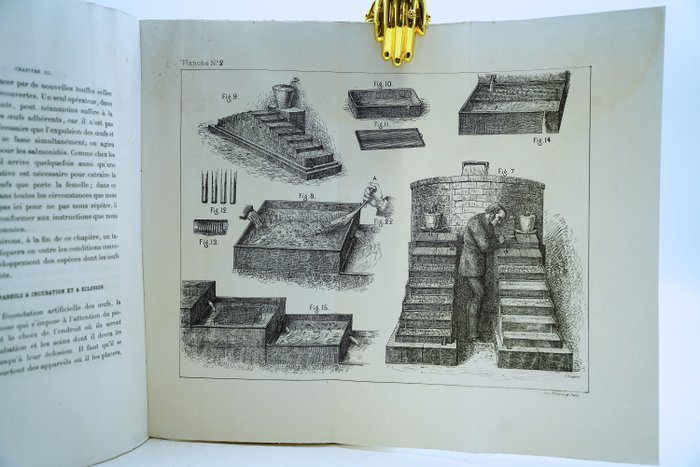 G Bouchon-Brandely - Traité de pisciculture pratique et d'aquiculture en France et dans les pays voisins - 1878