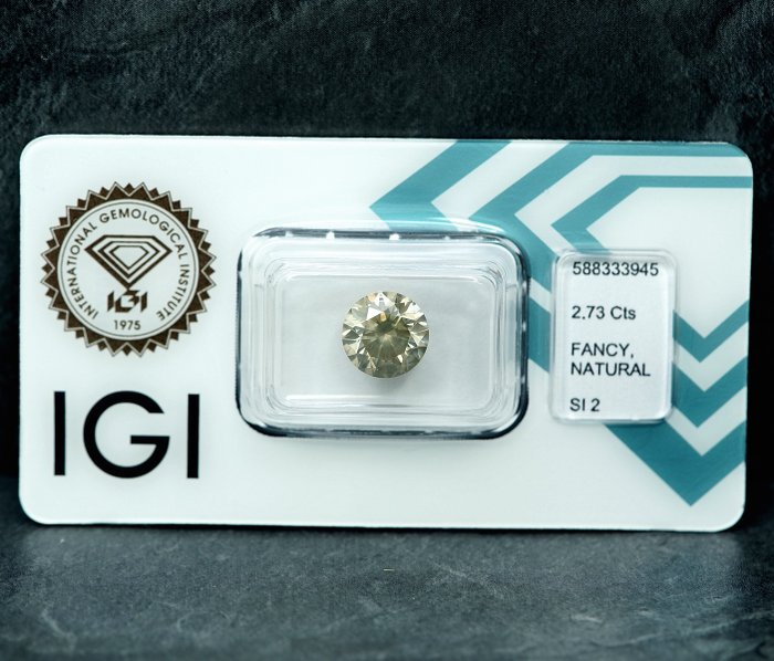 1 pcs Diamant  (Naturfarvet)  - 2.73 ct - Fancy Grålig Gul - SI2 - International Gemological Institute (IGI)