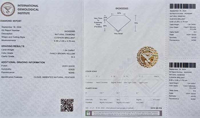 Ingen mindstepris - 1 pcs Diamant  (Naturfarvet)  - 1.04 ct - Pude - Fancy Brun Gul - SI2 - International Gemological Institute (IGI)