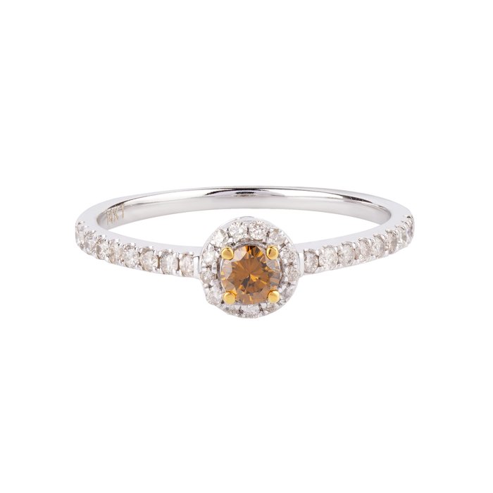 Ring - 14 karat Gulguld, Hvidguld -  0.41ct. tw. Blandet brun Diamant (Farvebehandlet) - Diamant