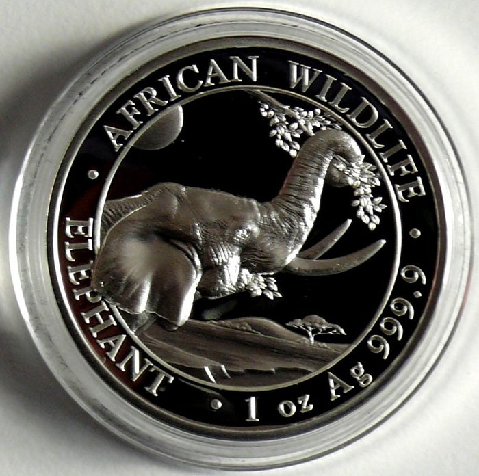 Somalia. 100 Shilling 2023 Elephant - High Relief, 1 Oz (.999) Proof  (Ingen mindstepris)