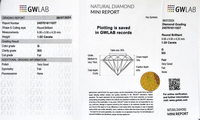 1 pcs Diamant  (Natur)  - 1.02 ct - Rund - G - SI3 - Gemewizard Gemological Laboratory (GWLab)