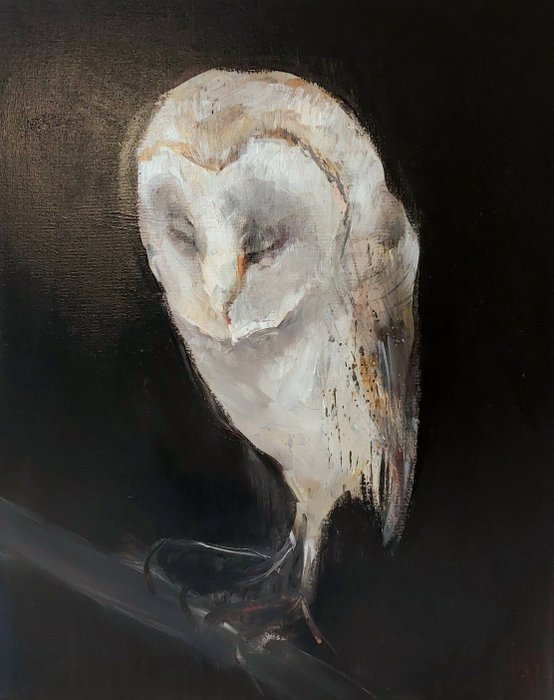 Dorien Plaat - Owl