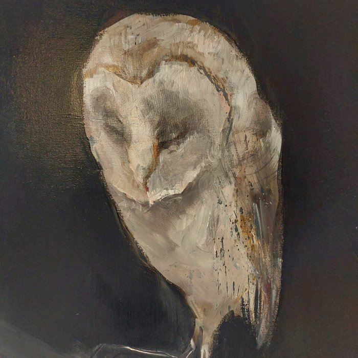 Dorien Plaat - Owl