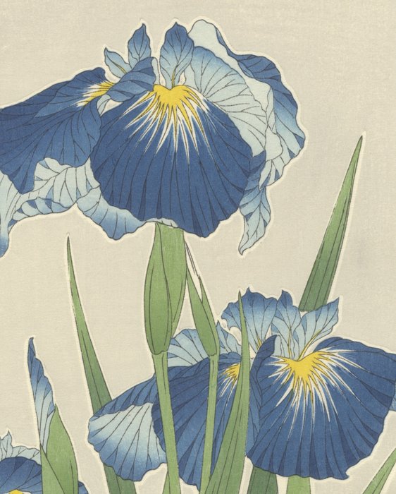 'Irises' 菖蒲 - Shodo Kawarazaki (1889-1973) - Japan