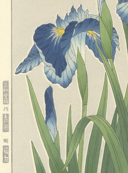 'Irises' 菖蒲 - Shodo Kawarazaki (1889-1973) - Japan