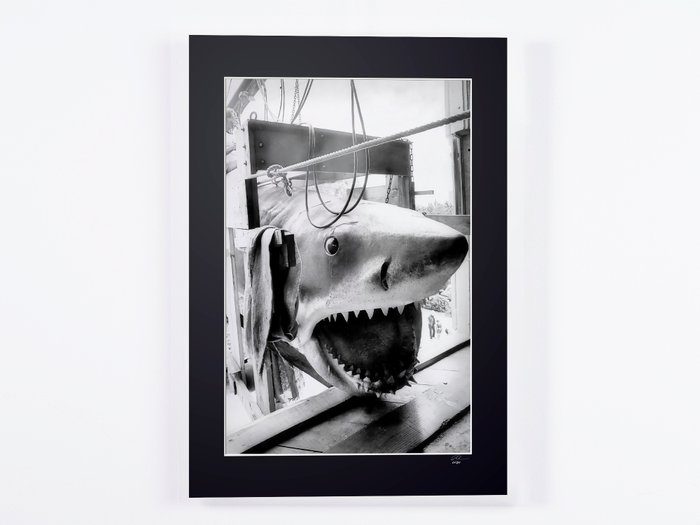 JAWS 1975 - Fine Art Photography - Luxury Wooden Framed 70X50 cm - Limited Edition Nr 02 of 30 - Serial ID 16789 - Original Certificate (COA) Hologram Logo Editor and QR Code - 100% New items