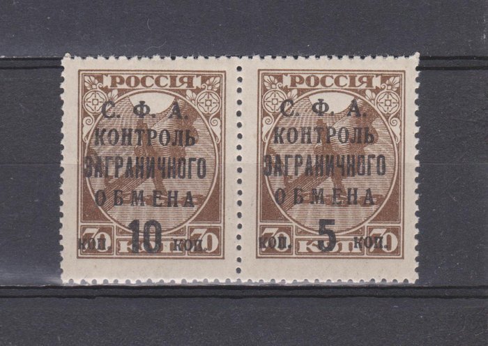 Sovjetunionen 1932/1933 - USSR. Sjælden, "Kontrol af valuta" Par frimærker - Zagorsk № РЕ21/РЕ20