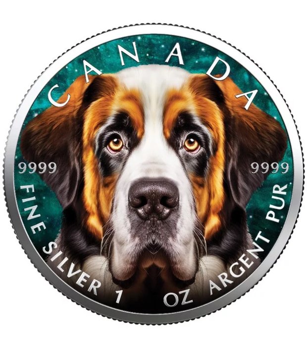 Canada. 5 Dollars 2024 Bernhardiner, 1 Oz (.999)  (Ingen mindstepris)