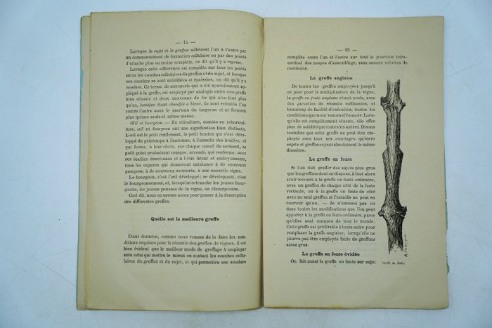 V. Pulliat - Manuel du greffeur de vignes / Le soufre et la vigne - 1880