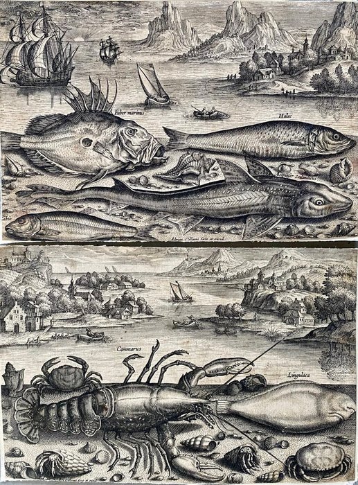 Adriaen Collaert (1560 - 1618) - Sea animals in a fantastical landscape