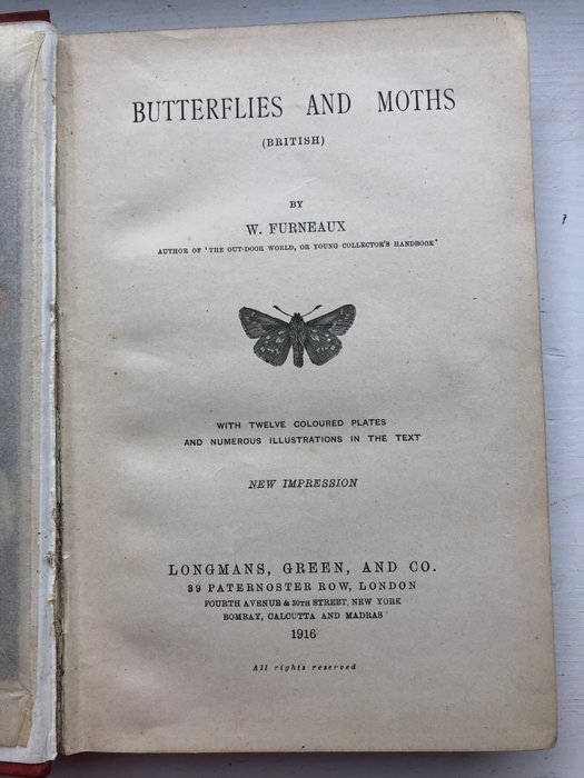 William S. Furneaux - Butterflies and Moths - 1916