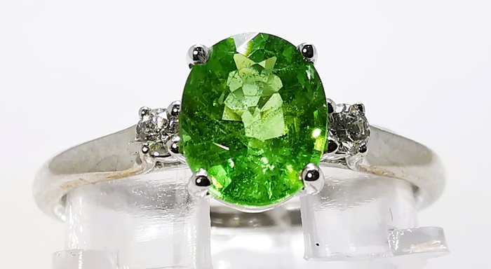 Ring - 18 kraat Hvidguld Tsavorite Intense Green 129ct Tsavorit - Diamant