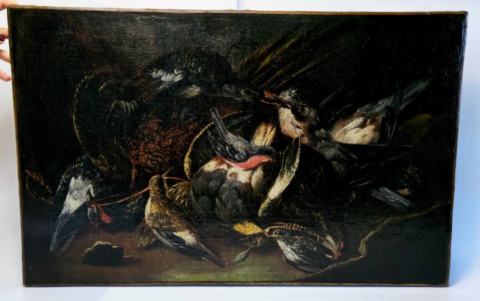 Joannes Fijt Antwerp (1611-1661), Circle of - Natura Morta con cacciagione