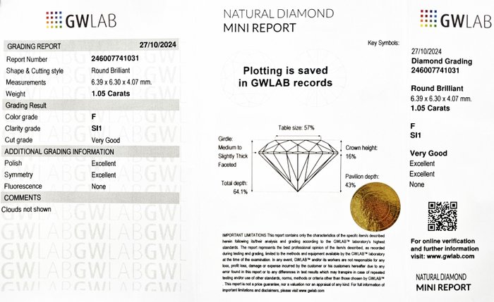 1 pcs Diamant  (Natur)  - 1.05 ct - Rund - F - SI1 - Gemewizard Gemological Laboratory (GWLab)