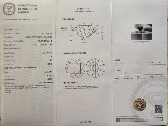 Ingen mindstepris - Ring Platin -  5.03ct. tw. Diamant (Laboratoriedyrket) - E, VS1