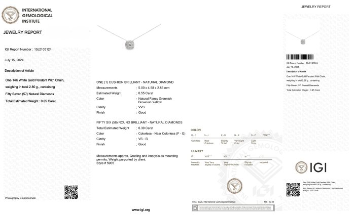 Halskæde med vedhæng - 14 karat Hvidguld -  0.85ct. tw. Diamant (Naturfarvet) - Diamant