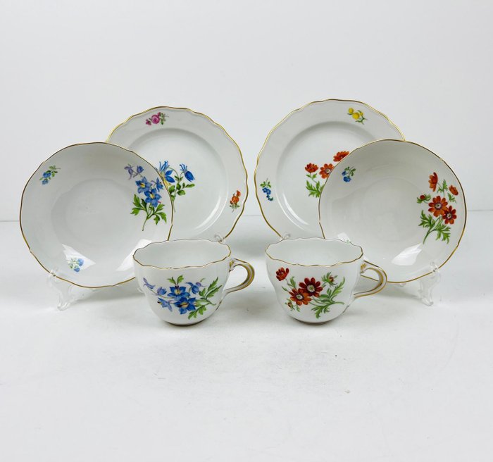 Meissen - Tekop sæt (6) - (NO RESERVE) - Porcelæn