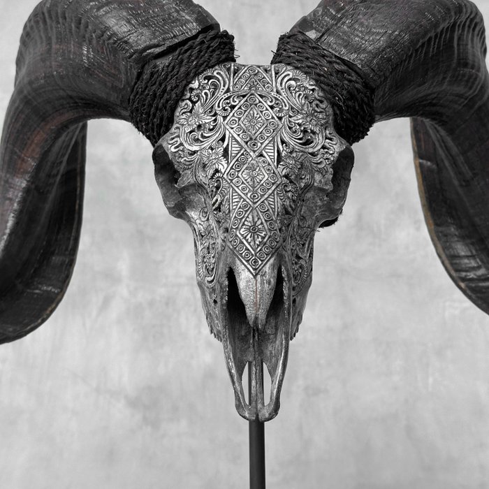 INGEN RESERVEPRIS - C - Grå udskåret Ram Skull på en specialstand - Ketupat Motiv- Indgraveret kranie - Ovis Aries - 47 cm - 65 cm - 29 cm- Ikke-CITES arter -  (1)