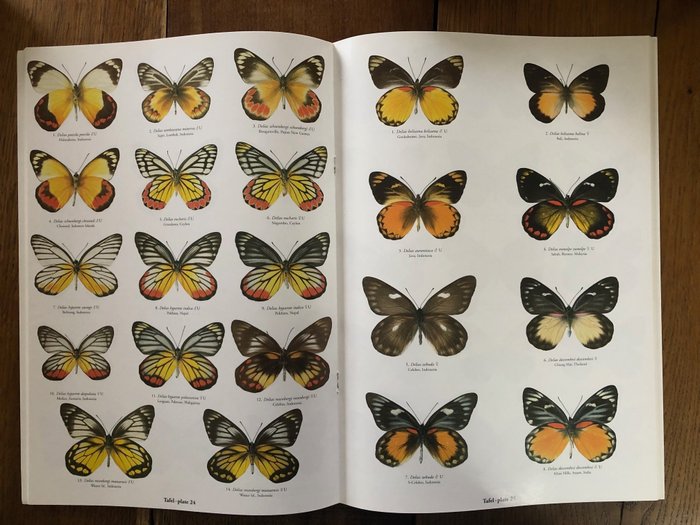 Walter Winhard, Erich Bauer - Butterflies of the World - 2000-2001