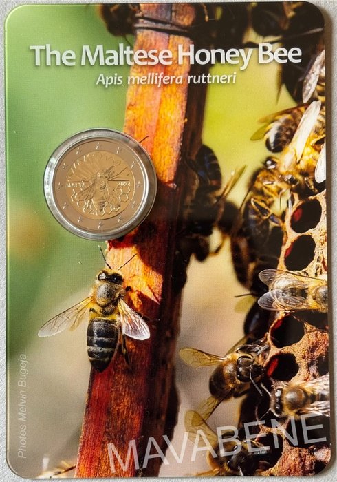 Malta. 2 Euro 2024 "Honey Bee" + "Cittadella" (2 monete)  (Ingen mindstepris)