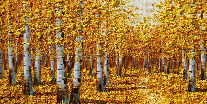 CleliaArt - Autumn Birch