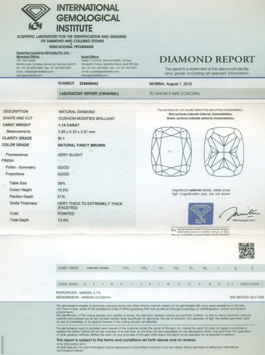 1 pcs Diamant  (Natur)  - 1.14 ct - Pude - SI1 - International Gemological Institute (IGI) - Fancy brun