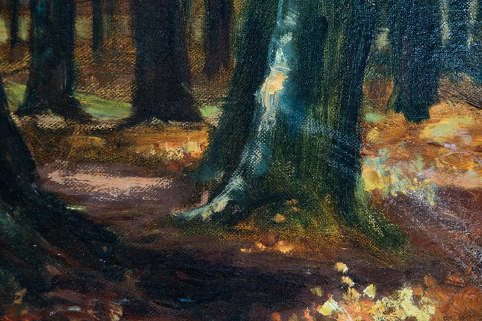 Hendrik Jan Ten Cate (1867-1953) - Haagse Bos