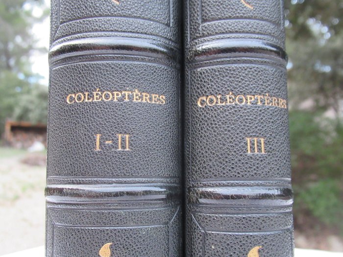 Dr. Chenu - Coléoptères. Encyclopédie d'Histoire Naturelle ou Traité complet de cette Science - 1884-1886