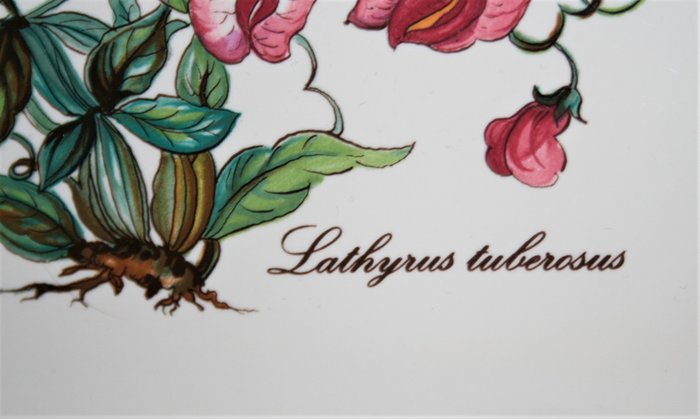 Villeroy  Boch, Lathyrus tuberosus - Cake or - Sandwich tallerken - Botanica - Vitro porcelæn