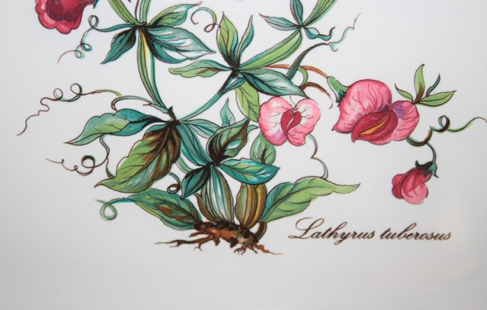 Villeroy  Boch, Lathyrus tuberosus - Cake or - Sandwich tallerken - Botanica - Vitro porcelæn