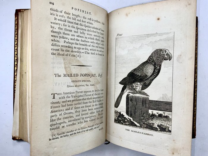 Count de Buffon - The Natural History of Birds From the French of the Count de Buffon - 1793-1793